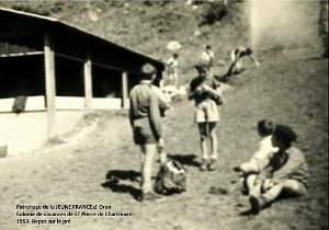 COLO JEUNE FRANCE 1953 repos sur le pre avant le repas 2